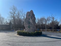 -绿堤公园