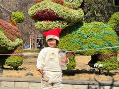 -洛阳市隋唐城遗址植物园