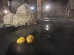 -裕龙汤泉