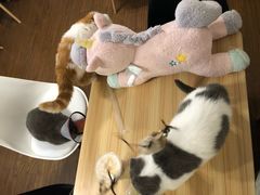 -福瑞记老孙头biangbiang面(新生路店)