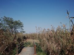 -同里国家湿地公园