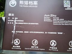 -都江堰中华大熊猫苑