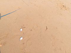 -青岛银沙滩