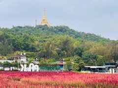 -孔雀湖生态旅游区