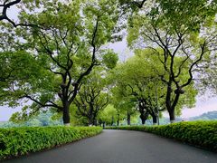 -东湖听涛景区