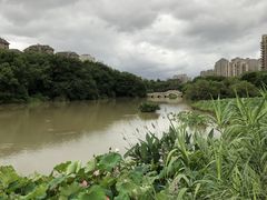 -金山公园