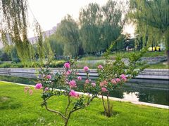 -元大都城垣遗址公园