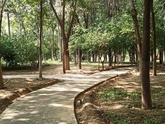 -大兴滨河森林公园