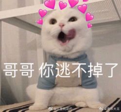 点击看大图 -Syinstyle私人定制