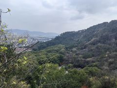 -灵岩山风景区