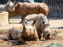 -济南野生动物世界