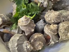 水煮海螺-渔家乐小海鲜(皇姑店)