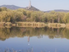-北坞公园