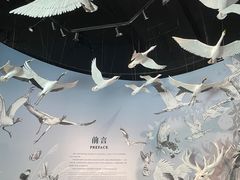-中国湿地博物馆