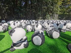 -杭州植物园