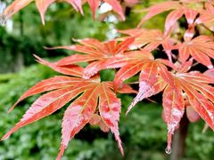 -沣东·沣河生态景区