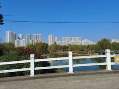 -贡湖湾湿地公园