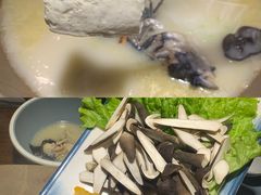 -滇小鱼·云南野生菌火锅(上杭路店)