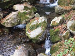 -藏龙百瀑风景区