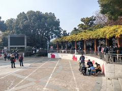 -双拥公园