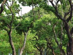 -四海公园(南山区)