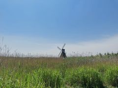 -宁波杭州湾国家湿地公园