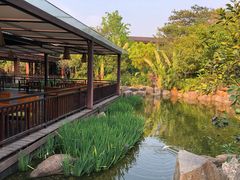 景观位-西双版纳洲际度假酒店-海鲜傣味烧烤·侬香全日制餐厅