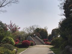-桃花岛景观公园