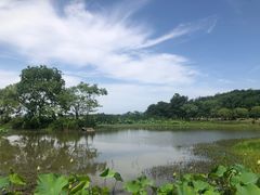-云水涧亲子度假酒店