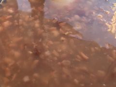 -驴世家驴肉火烧·凉皮·胡辣汤(五道口店)