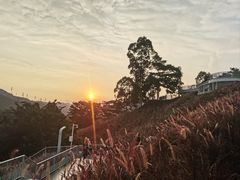 -白石龙音乐公园