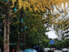 -成都市活水公园