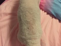 -宠宠熊宠物美容(星湖街店)