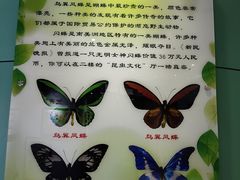 -上海昆虫博物馆