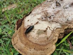 -Club Med地中海俱乐部·桂林度假村