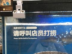 -盒马鲜生(曜一城店)