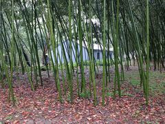 -兰亭风景区
