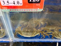 -阳澄湖大闸蟹·琼灵阁牌品牌连锁(吴中总店)