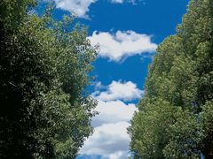 -万达影城(南昌红谷滩IMAX激光店)