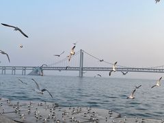 -星海广场