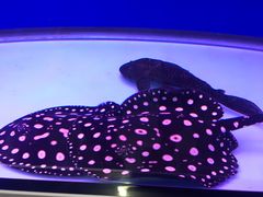 -青石桥市场北1-27号