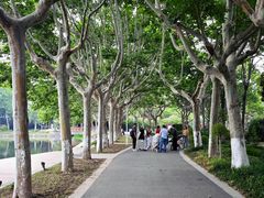 -泰州凤城河风景区-泰山公园