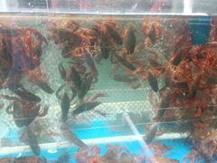 -颐千海味渔小馆(大三元街店)