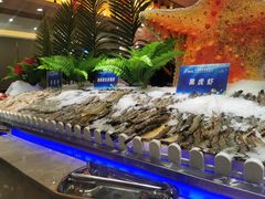 -锤头鲨毛肚海鲜烤肉自助餐厅(国购广场店)