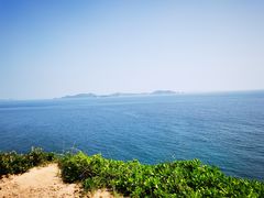 -杨梅坑