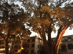 -星巴克臻选(广州沙面店)