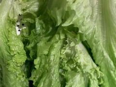 -新石器烤肉(南通CBD大有境店)