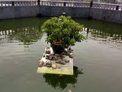 -凤凰山公园-龙王古庙