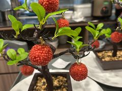 -椿记烧鹅(七星店)