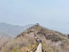 -大岭沟猕猴桃谷风景区